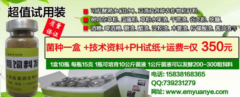郑州卖的潲水剩饭泔水喂猪专用发酵批发
