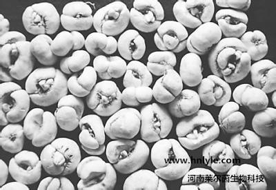 土贝母皂甙甲  河南洛阳 原料药厂家 价格优惠