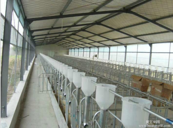供应养殖场自动喂料设备  自动料线用途  养猪设备供应厂家