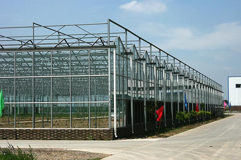 供应新疆玻璃温室 新疆玻璃温室建设15081063931