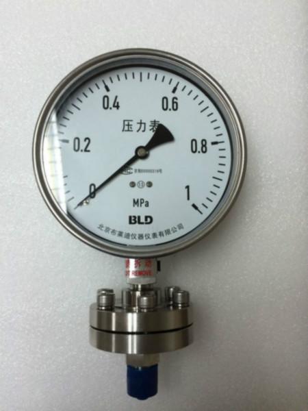 布莱迪BLD全不锈钢耐震螺纹式隔膜压力表PYTH(N)-100.AO.531.F0#水处理行业