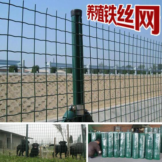 供应果园铁丝网、1.8米高果园围栏、散养家禽围网