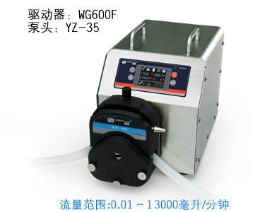 WG600F工业蠕动泵批发