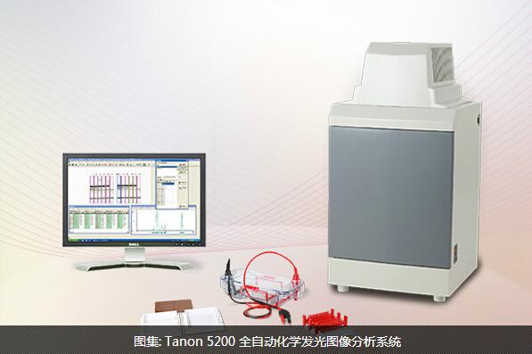 供应Tanon5200全自动化学发光图像