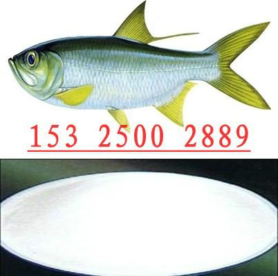 供应用于鱼虾饲料诱食的高强诱食剂DMPT02强效诱食剂