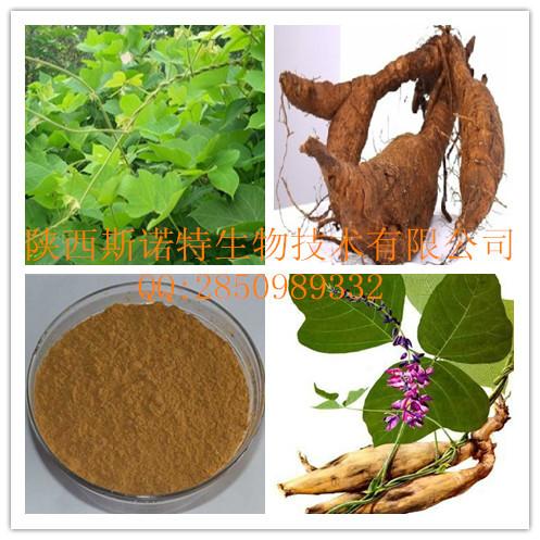 野葛根提取物 纯天然植物提取物 厂家大量现货