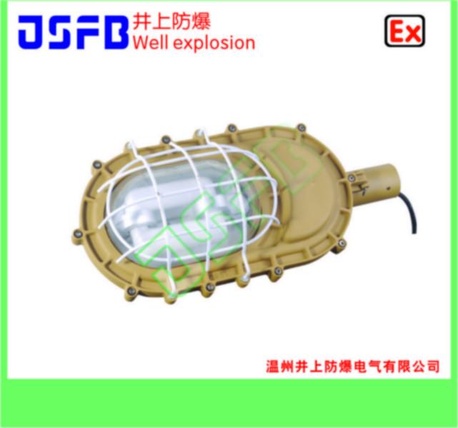 SBD1101-YQL50免维护节能防爆灯批发