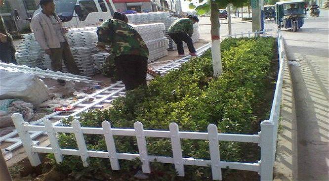 厂家现货公路绿化草坪塑料护栏批发