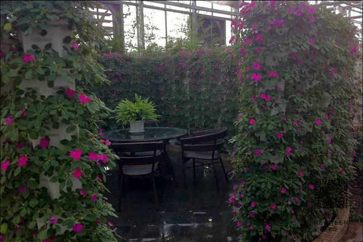供应东莞城市空间立体植物墙深度改善空气质量