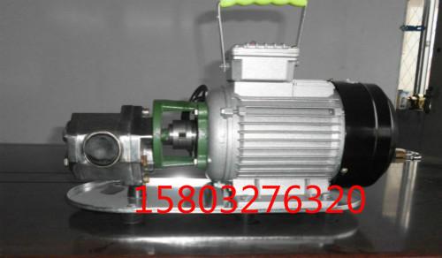 供应2CG-1型齿轮泵-高温泵-高温齿轮泵图片