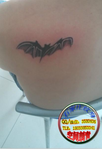 供应石家庄最好的纹身店蝙蝠纹身