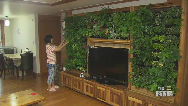 供应植物墙电视柜