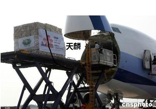供应印刷品包装盒高尔夫球袋运到台湾的台湾大陆两岸货物运输