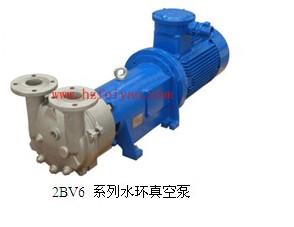 供应厂家直销2BV6111防爆水环真空泵电机5.5KW抽气3.83立方米/分钟