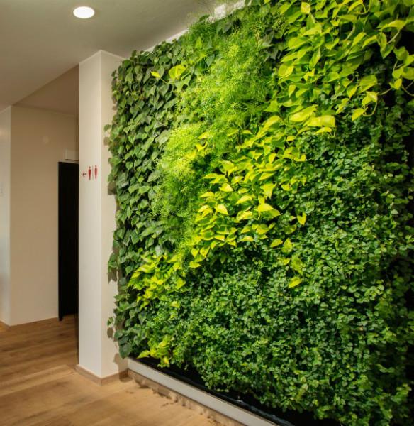供应垂直绿化立体绿化植物墙