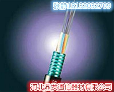 供应广州-广州销售光缆出售24芯48芯长飞正品光缆质优价廉图片