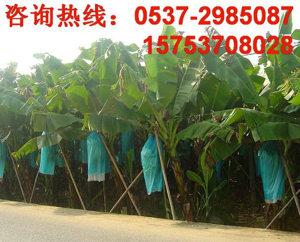 珍珠棉香蕉袋生产线批发