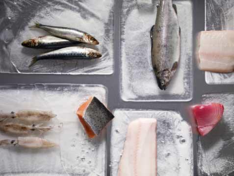 海鲜食品类进出口代理资料批发