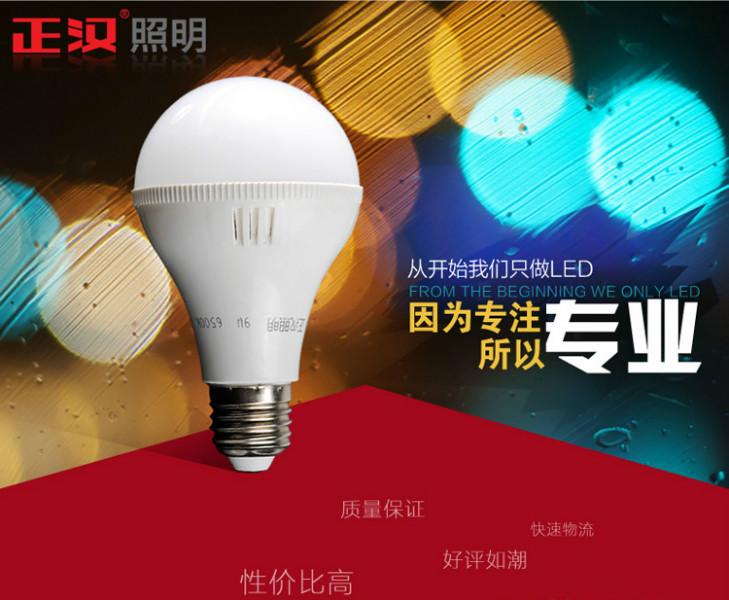 供应LED球泡灯生产厂家，LED球泡灯批发商，LED球泡灯供应商