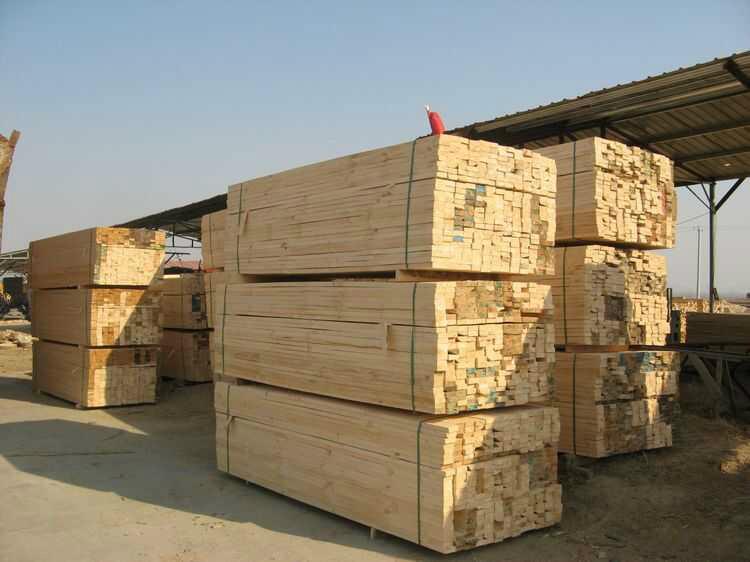 供应进口木方铁杉木方辐射松木方，让利30！！！做最好的建筑供应商！