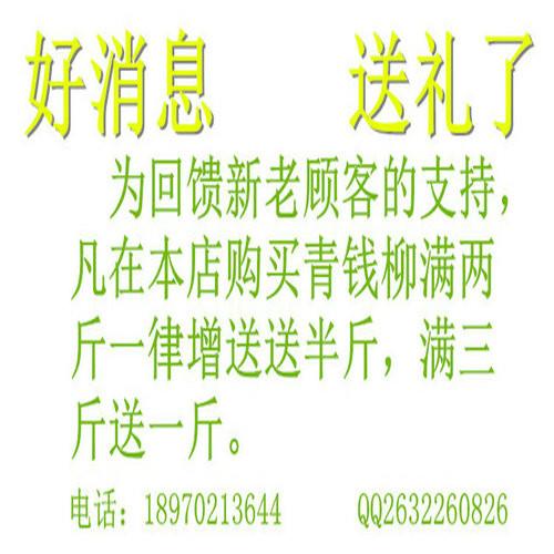 九江市青钱柳降糖神茶哪里有卖厂家供应青钱柳降糖神茶哪里有卖？