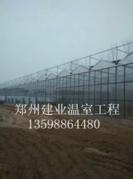 郑州市阳光板大棚 塑料大棚 玻璃温室厂家