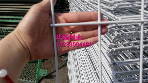 供应镀锌电焊网片铁丝网片涂塑浸塑网片