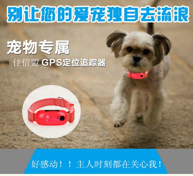 宠物货物GPS追踪器批发