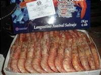 供应阿根廷红虾（特价批发）