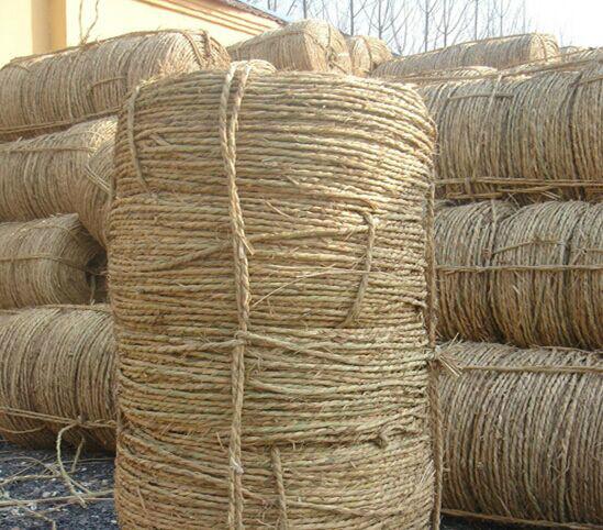 供应山东优质绿化草绳，管桩草绳；草帘草袋稻草