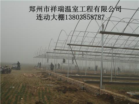 郑州市商丘蘑菇温室种植大棚造价建造技术厂家