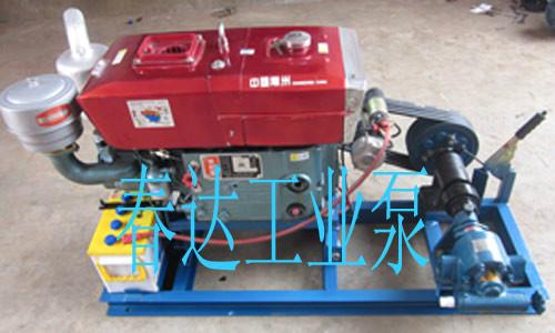 供应大庆齿轮油泵  不锈钢泵 齿轮油泵 保温齿轮泵