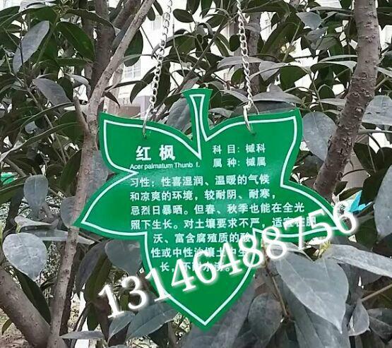 供应植物挂牌，北京植物挂牌生产厂家