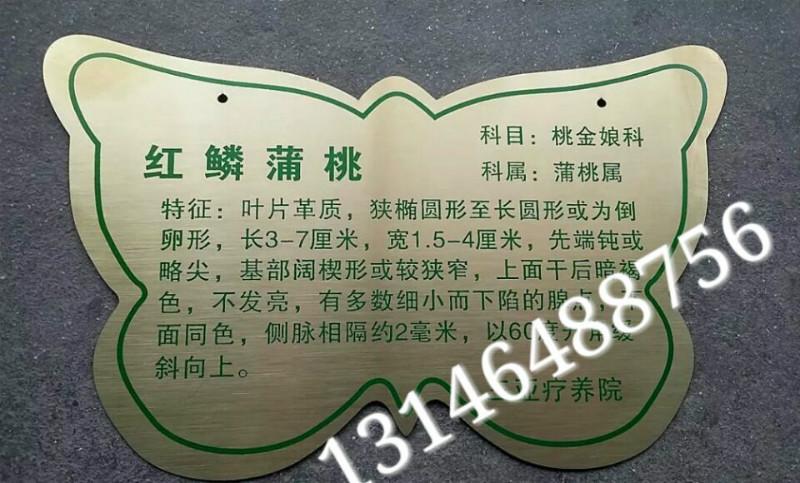 供应植物挂牌，北京植物挂牌生产厂家