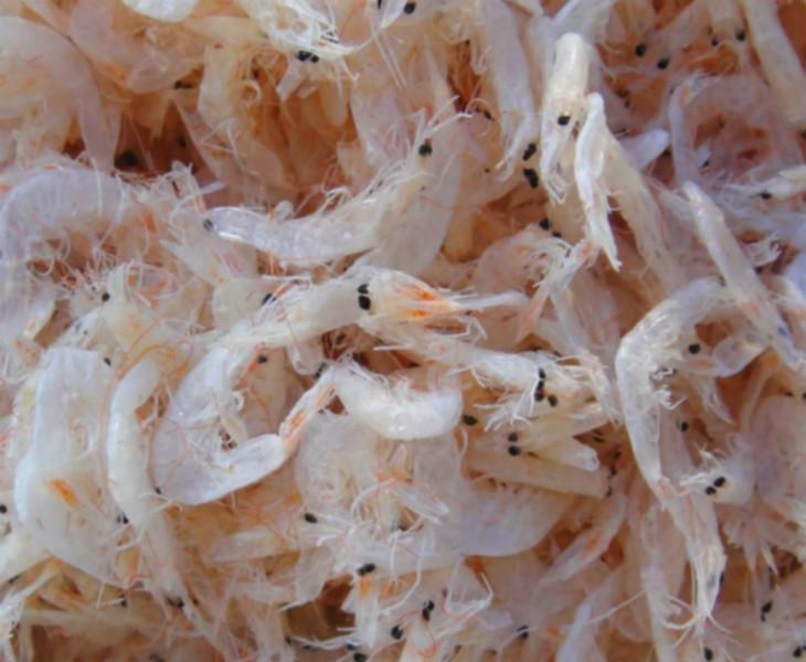 供应虾皮海米虾米图片