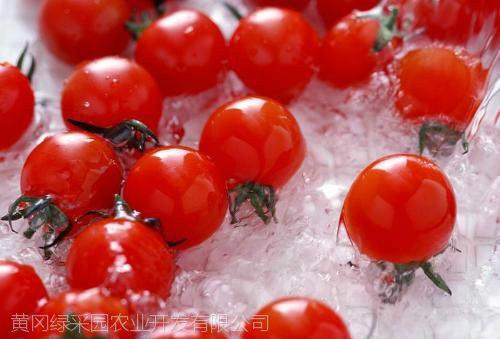 抗癌特色水果樱桃番茄小西红柿批发