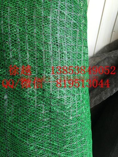 高强玻纤复合三维网|杭州高强玻纤复合三维网厂家|杭州复合排水网