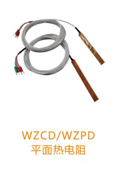 供应WZCD/WZPD平面热电阻