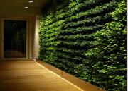 广州市垂直绿化植物墙厂家