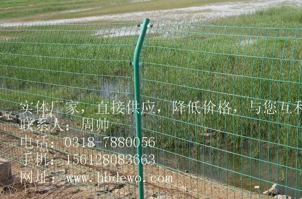 供应圆柱桃型柱护栏网-圈山预埋30cm圆管立柱双边护栏网-小区桃型柱护栏