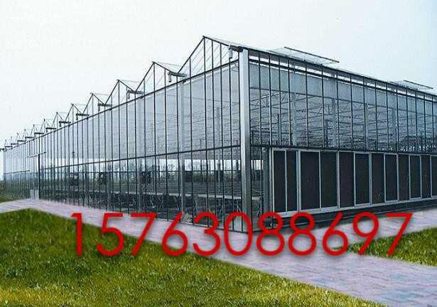 供应文洛型玻璃温室