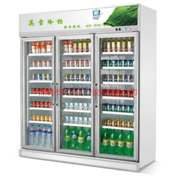 供应商场里面的展示冰柜小型展示冰柜