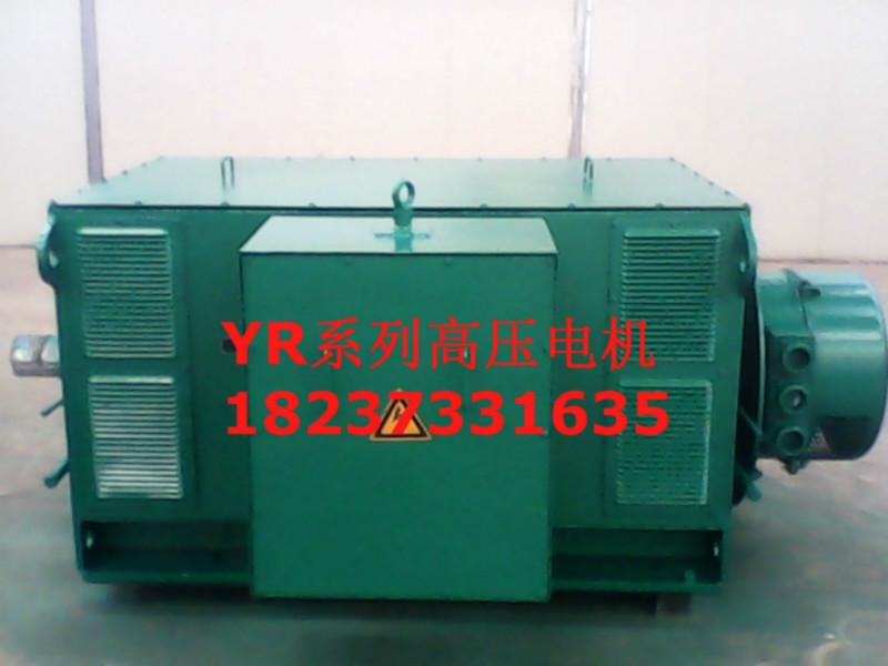 供应用于的YR630-8/1000KW/10KV电机图片
