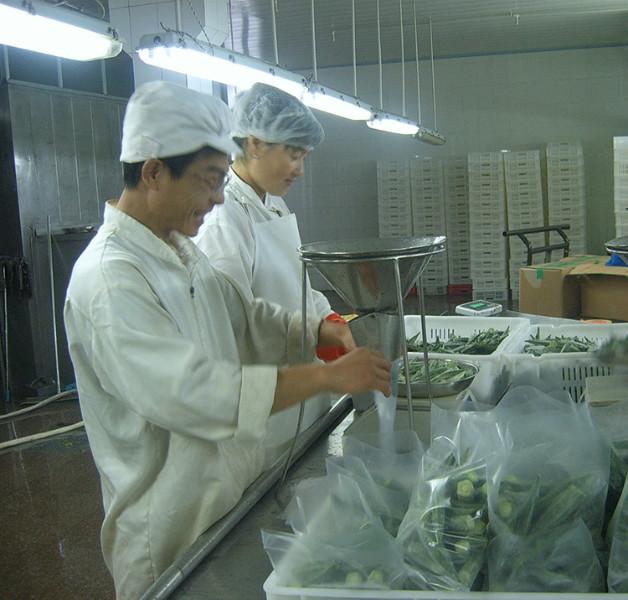 供应蔬菜冻品 速冻黄秋葵 新鲜的品质 一流的配送