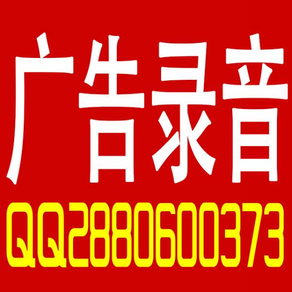 供应端午节粽子广告语广告录音制作