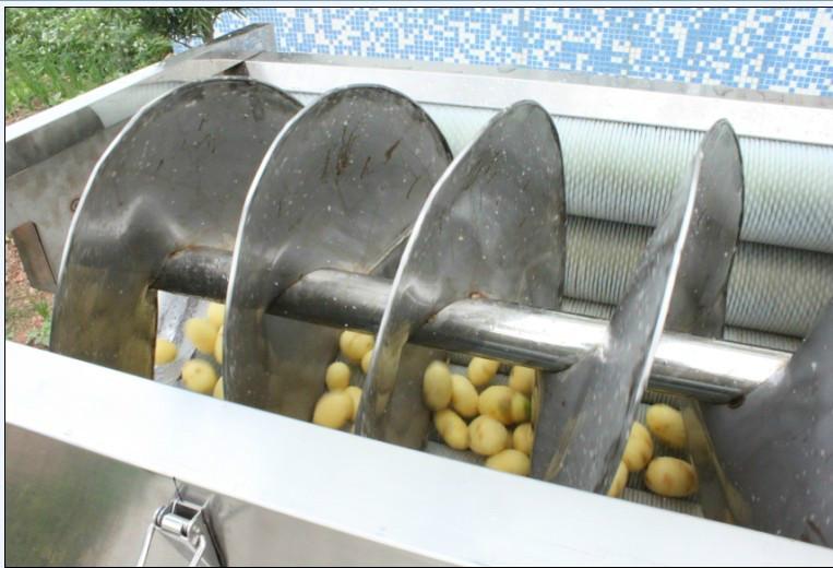 供应全自动果蔬清洗脱皮机，台湾大型洗菜机，胡萝卜脱皮机，土豆去皮机